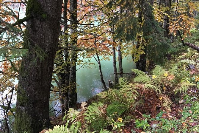 1 Day 4x4 Tour in Carpathian Mountains - Price and Value: Why $191.05 Can Make Sense for This Day