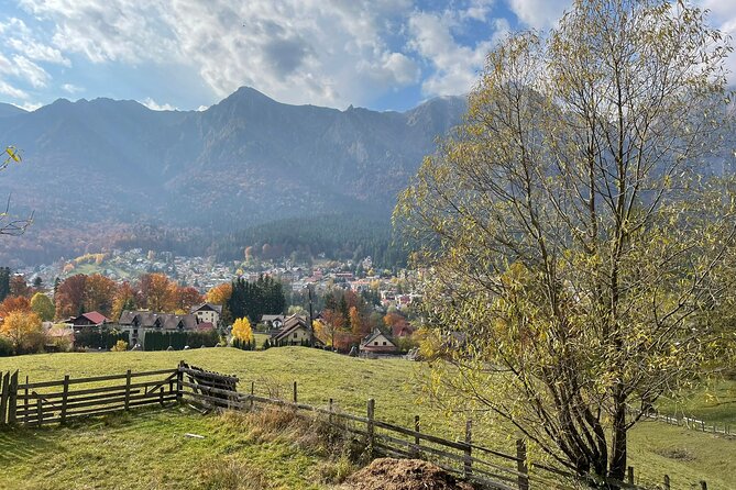 1 Day ATV Tour in Carpathian Mountains - Peleș Castle Stop: a Royal Palace Break