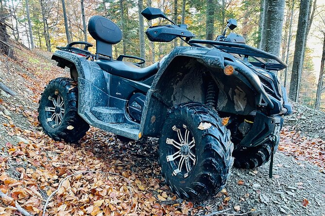 1 Day ATV Tour in Carpathian Mountains - Should You Book This KPM Romania Tour?