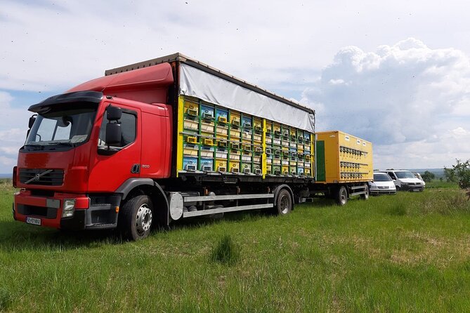 10 hours Private Apiary Tour in Romania - From Bucharest - Entering a working apiary: how you’ll learn beekeeping in plain terms
