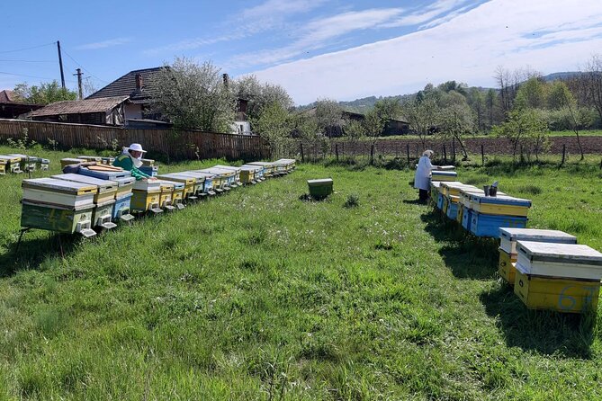 10 hours Private Apiary Tour in Romania - From Bucharest - Curtea de Arges Monastery: a quick culture stop that doesn’t steal the day