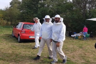 10 hours Private Apiary Tour in Romania - From Bucharest - Honey products and the tastings: what to look for during the sampling