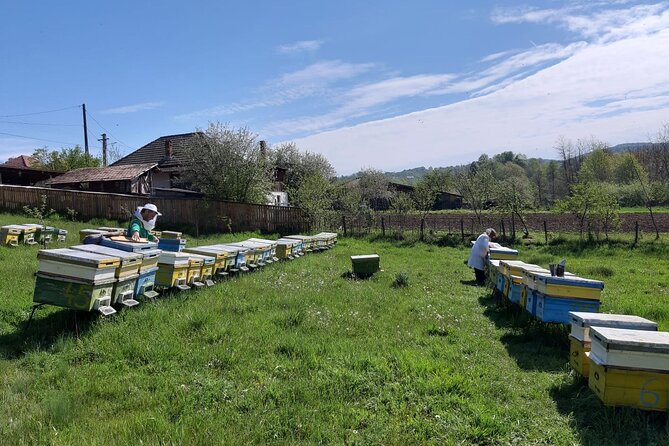10 hours Private Apiary Tour in Romania - From Bucharest - Price and value: is $290.89 per person worth it?