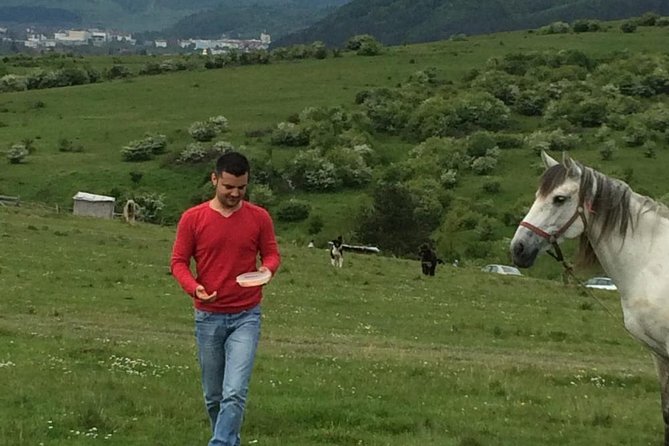 2 Days Private Tour Transfagarasan Road & Sibiu from Bucharest - Pace, stops, and the physical reality of Poienari