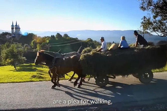 2 Days Private Tour Transfagarasan Road & Sibiu from Bucharest - Private car, licensed English guide, and the real meaning of flexibility