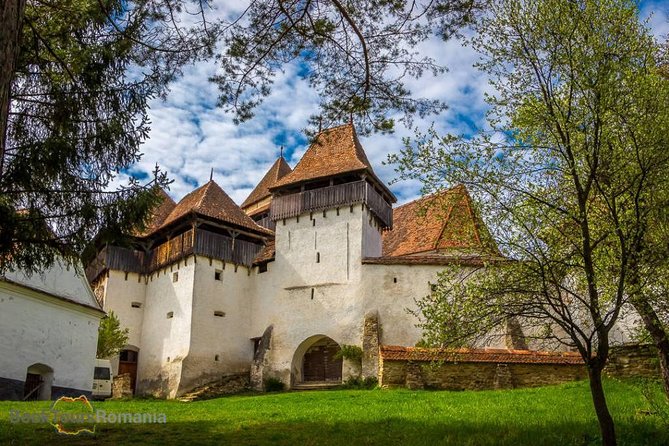 3-Day Tour from Bucharest: Transylvania Villages and Medieval Towns - Day 1: Pelș Castle, Bran Castle, and the slow countryside shift in Magura