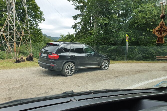 3 Days Private Tour in Romania with Transfagarasan Road - The real appeal: a private car built for Romania’s long days