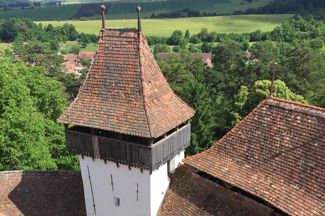 4-Day Private Tour: Bucharest to Budapest via Transylvania - Day 4: Timișoara city walk, Baroque squares, and a calmer finale