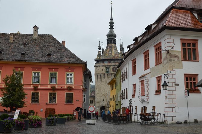 4 Days - Transylvania Private Tour - Comfort, group size, and why private matters on long drives