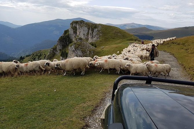 4x4 Driving Experience at Flying Altitudes - 7 Days - Sinca Veche and Poiana Brașov: Calm Mountain Stops in Between
