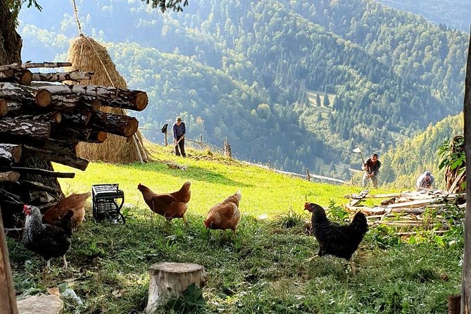 4x4 Driving Experience at Flying Altitudes - 7 Days - Brasov Old Town and the Black Church: Finish With Real City Charm