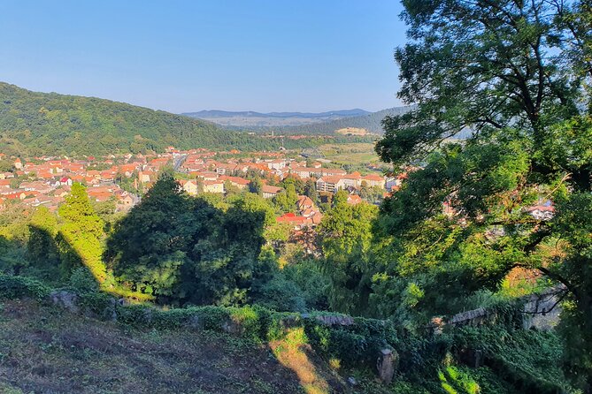 6 Days Private Tour in Romania Spectacular Places from Bucharest - Day 5: Salina Turda air, Cheile Turzii hiking, and Cluj-Napoca’s Union Square unwind