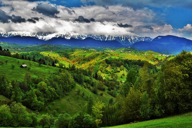 7-Day Private Tour of Transylvania from Bucharest - Why this 7-day Transylvania loop is built for people who like control