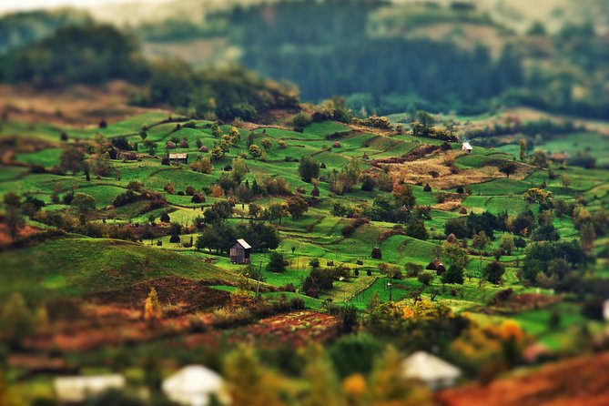 A Journey Back in Time: Countryside from Transylvania and Maramures - 15 Days - Bran Castle, Rasnov Citadel, and a bear sanctuary day