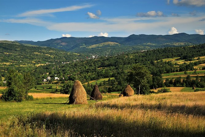 A Journey Back in Time: Countryside from Transylvania and Maramures - 15 Days - Mocănița steam train: the ride that makes the countryside real