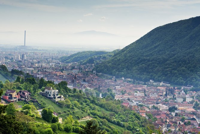 Adventure trip to Transylvania in 3 days from Bucharest - Muntele Tampa bear time: ranger-led observation and quiet rules