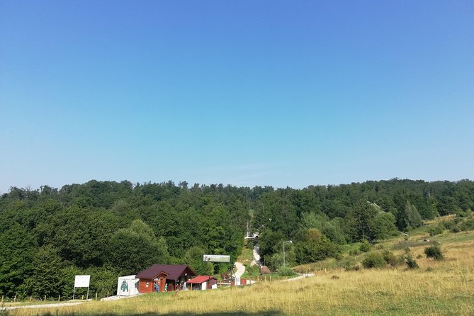 Bear Sanctuary and Dracula's Castle, 1-day Private Tour - A long day from Bucharest that starts before sunrise