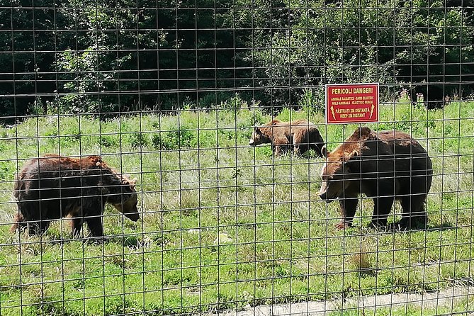 Bear Sanctuary and Dracula's Castle, 1-day Private Tour - Who should book this private Transylvania day trip