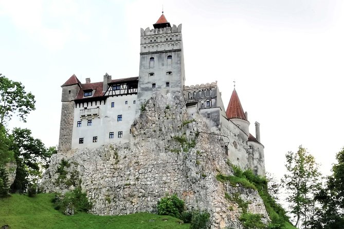Bear Sanctuary and Dracula's Castle, 1-day Private Tour - Should you book it? My take
