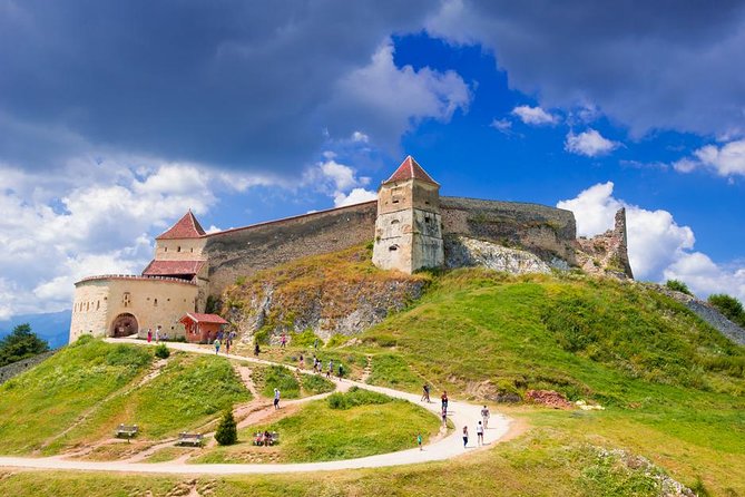 Bear Sanctuary & Rasnov Fortress - Private day tour from Bucharest - Key highlights you’ll actually care about