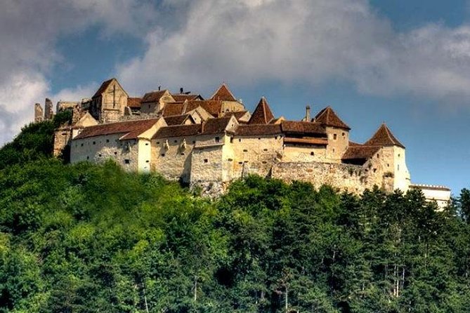 Bear Sanctuary & Rasnov Fortress - Private day tour from Bucharest - Libearty Bear Sanctuary (Zărnești): what you’re really seeing