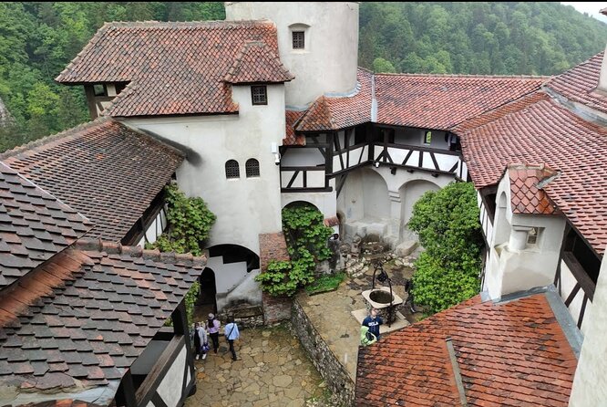 Bears Sanctuary, Dracula's Castle and Brașov City - Private Tour - From Bucharest in a day: comfort, timing, and how the day flows