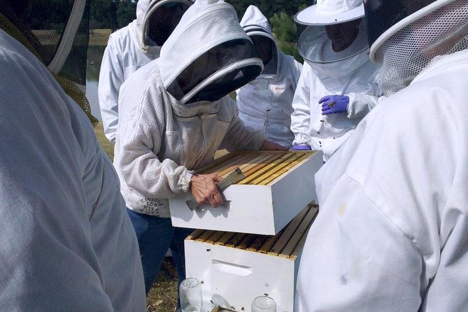 Beekeeping Day Trip| Private Guided Tour from Bucharest - Key things to know before you go
