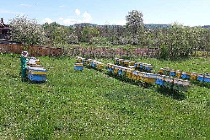 Beekeeping Day Trip| Private Guided Tour from Bucharest - Bucharest to Valcea County: a long ride for a quiet payoff