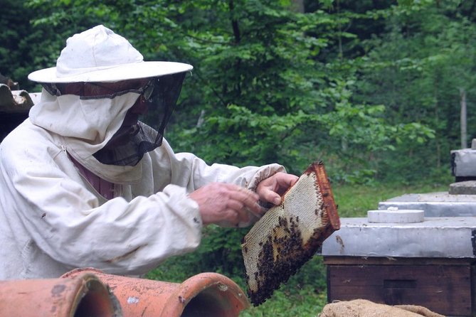 Beekeeping Day Trip| Private Guided Tour from Bucharest - Honeybee products for dessert: tasting with a reason