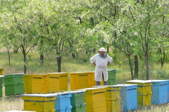 Bees Adventure in Romania - Private Day Trip from Bucharest - Key Things I’d Put On Your Must-Do List