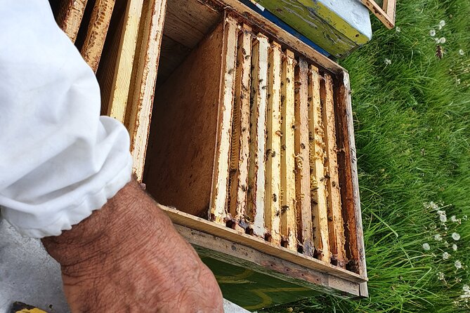 Bees Adventure in Romania - Private Day Trip from Bucharest - Valcea County Escape: How the Day Starts Outside Bucharest