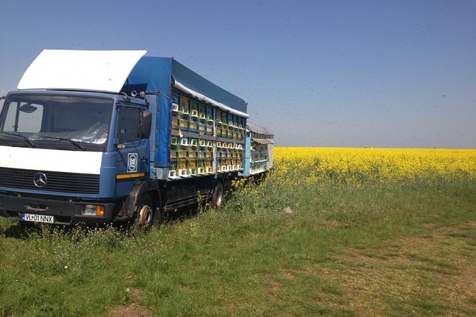 Bees Adventure in Romania - Private Day Trip from Bucharest - Harvesting Demonstration: Seeing How the Hive Becomes Honey