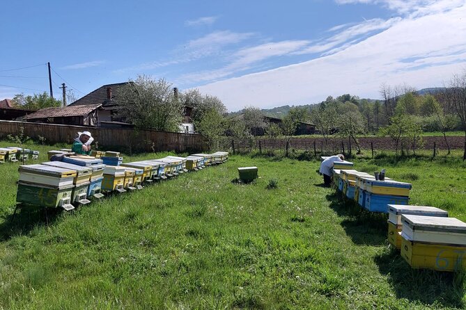 Bees Adventure in Romania - Private Day Trip from Bucharest - Romanian Lunch in the Countryside and Honeybee Dessert