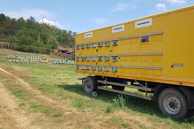 Bees Adventure in Romania - Private Day Trip from Bucharest - Practical Notes Before You Go