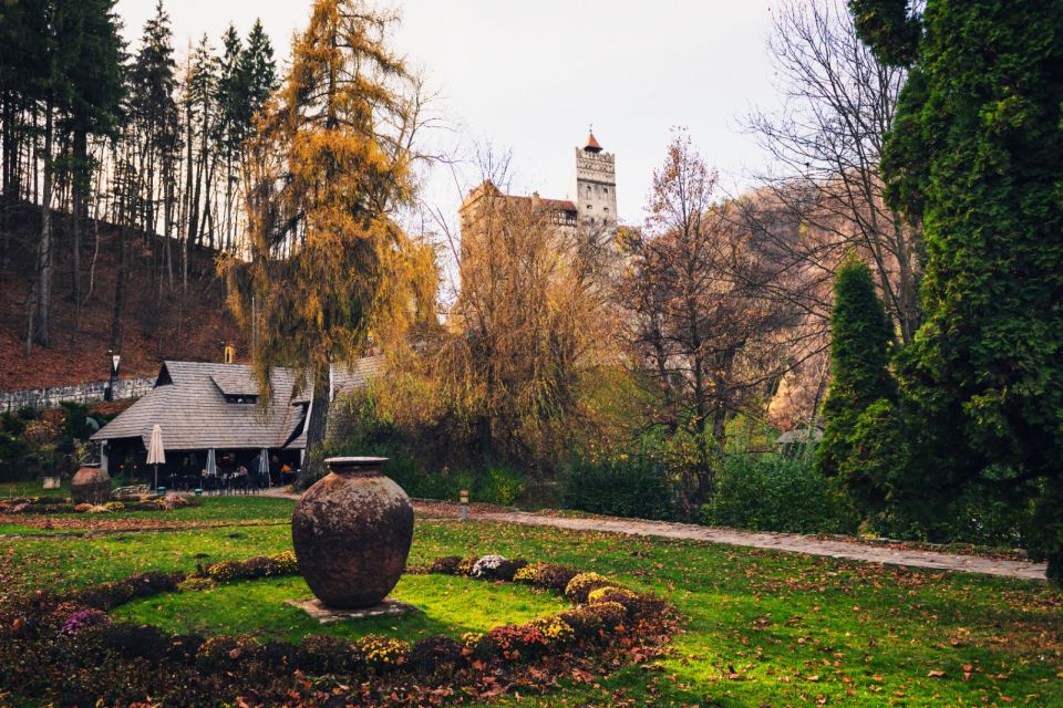 Bucharest: Bran Castle and Bear Sanctuary Small-Group Tour - Key things that make this day trip work
