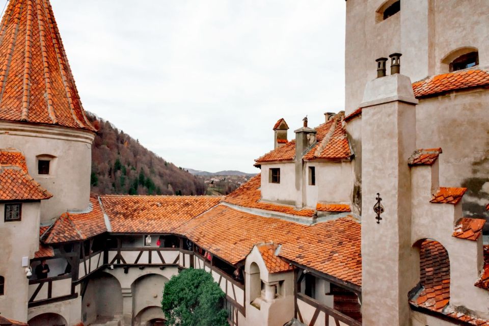 Bucharest: Bran Castle and Bear Sanctuary Small-Group Tour - The full day rhythm: what happens after the mountain drive