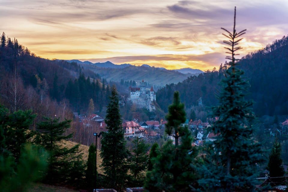 Bucharest: Bran Castle and Bear Sanctuary Small-Group Tour - Getting there the right way: car, minivan, and mountain coffee stops