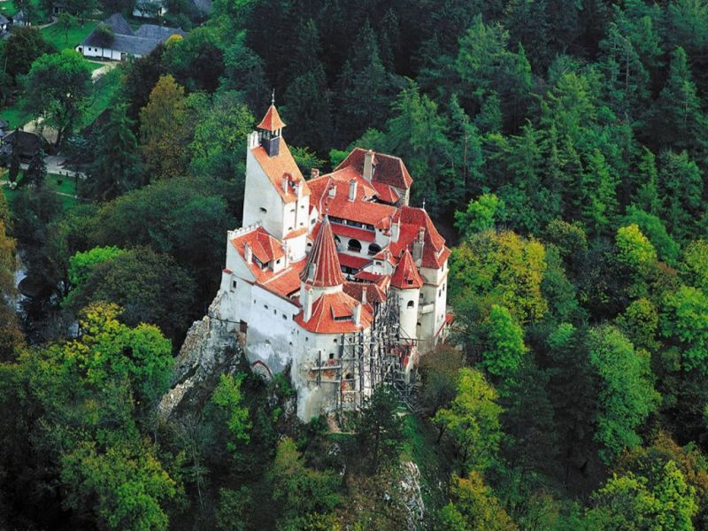 Bucharest: Bran & Peles Castle with Rasnov Citadel Day Trip - Key Points You’ll Care About