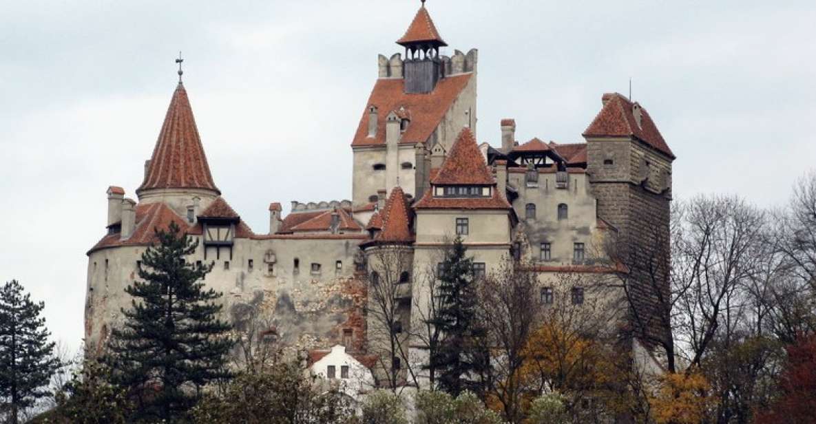 Bucharest: Bran & Peles Castle with Rasnov Citadel Day Trip - Price and What You Truly Get for $112