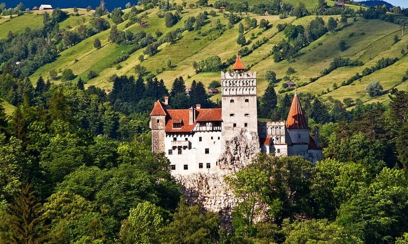 Bucharest: Day Trip to Bear Sanctuary, Bran Castle & Brasov - From Bucharest to Transylvania: Why This Day Trip Works