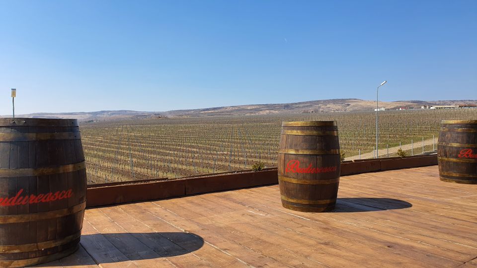 Bucharest: Dealu Mare Winery Private Trip with Wine Tasting - Stop One: Guided Vineyard Tour and Your First Tastings