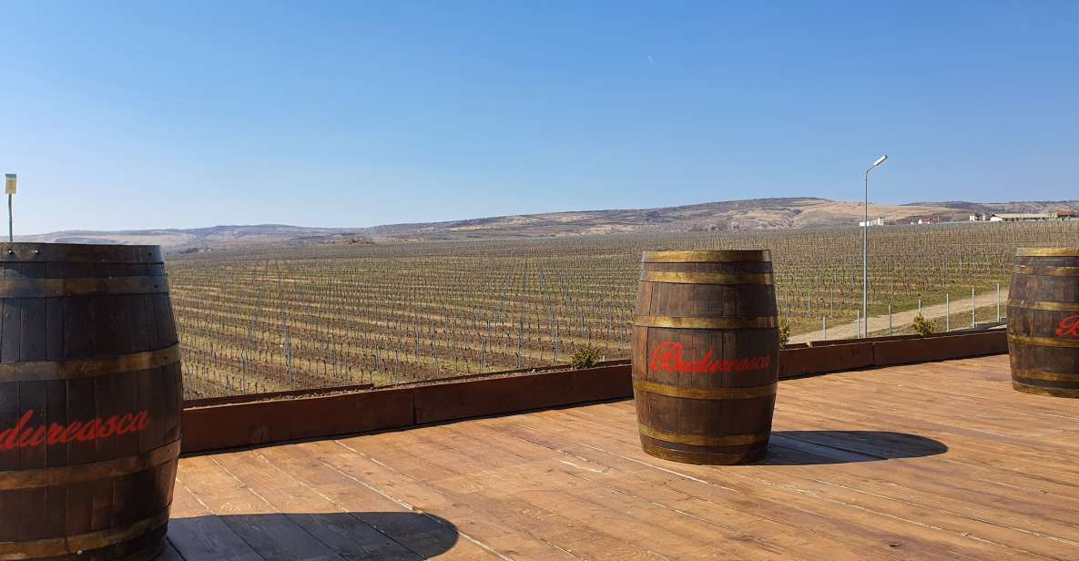 Bucharest: Dealu Mare Winery Private Trip with Wine Tasting - The Smooth Pickup That Makes It Feel Private