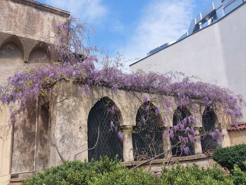 Bucharest: Hidden Gems 2.5-Hour Walking Tour - Who This Tour Suits Best (and Who Might Prefer Something Else)