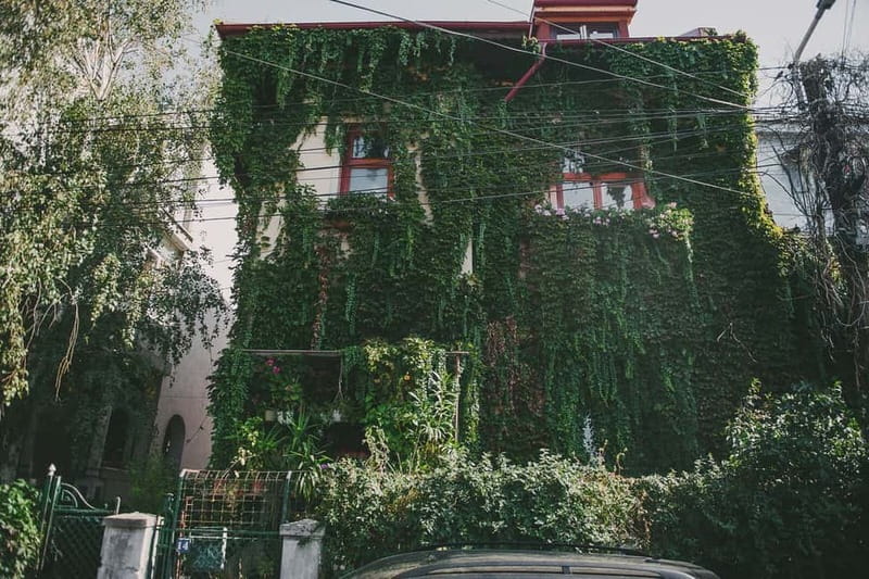 Bucharest: Hidden Gems 2.5-Hour Walking Tour - Mantuleasa Street and Mircea Eliade’s Bucharest Favorite Walk