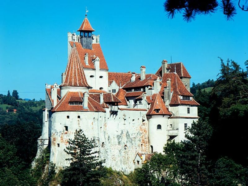 Bucharest: Peles Castle, Dracula's Castle and Brasov Tour - Peles Castle in Sinaia: German Renaissance Grandeur in the Carpathians