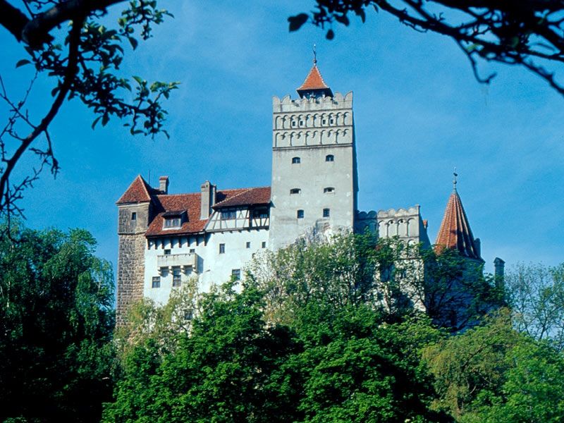 Bucharest: Peles Castle, Dracula's Castle and Brasov Tour - Who This Private Tour Suits Best (and Who Might Want Something Else)