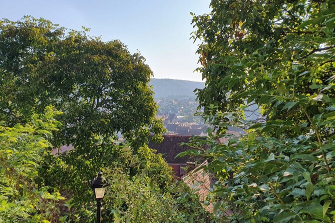 Bucharest Private Tour with Dracula's Grave and Ceaușescu Mansion - Key Highlights You’ll Care About