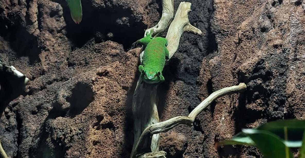 Bucharest: Reptiland Bucharest Entry Ticket - Price and Value: Is $12 for Reptiland Worth It?