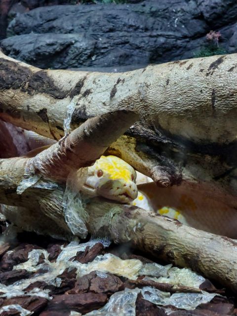 Bucharest: Reptiland Bucharest Entry Ticket - Walking Through the Mini Rainforest: Terrariums, Plants, and Habitats