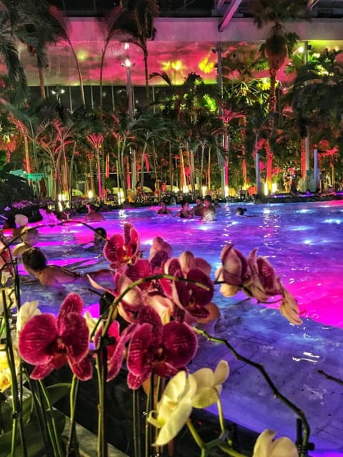 Bucharest: Therme Spa Night Experience with Transfer - Entering Therme Bucharest: the indoor palm grove in the dark